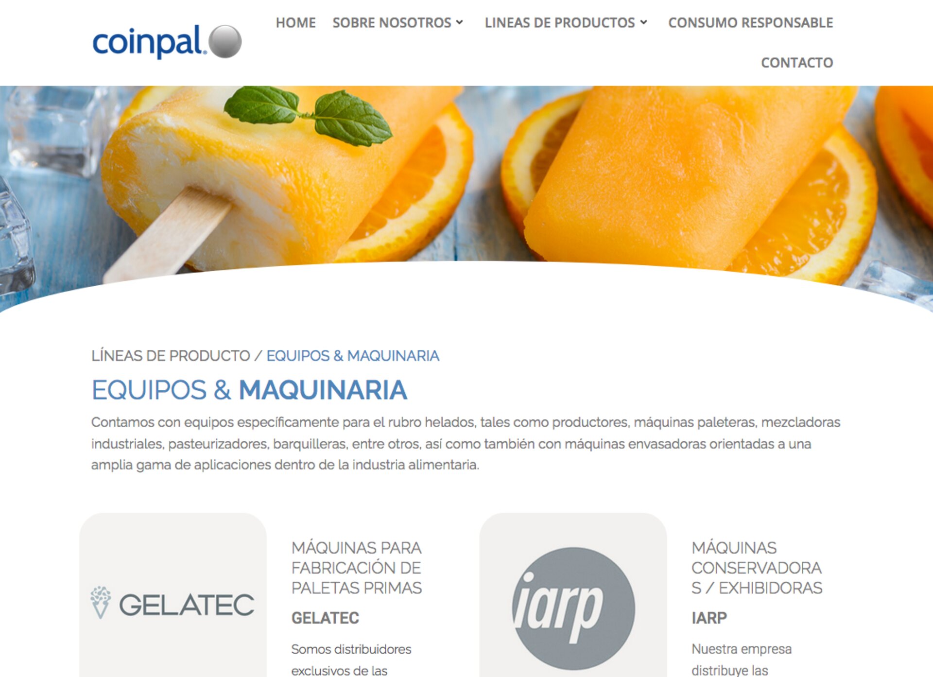 Productos para helados en santiago